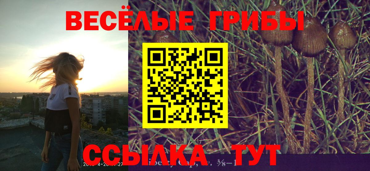 Псилоцибиновые грибы MAGIC MUSHROOMS Десногорск